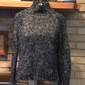 Express turtleneck Glitter sparkle sweater
